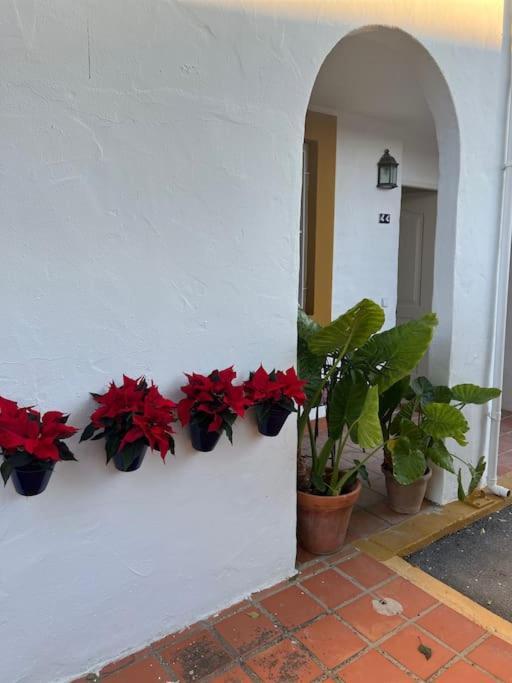 Apartamento A 8Km Sevilla Centro Valencina de la Concepcion Exterior photo